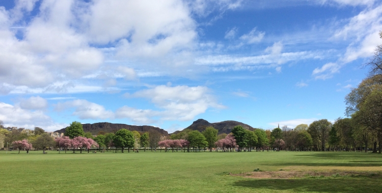 The Meadows, best parks and places for enjoying sun in Edinburgh